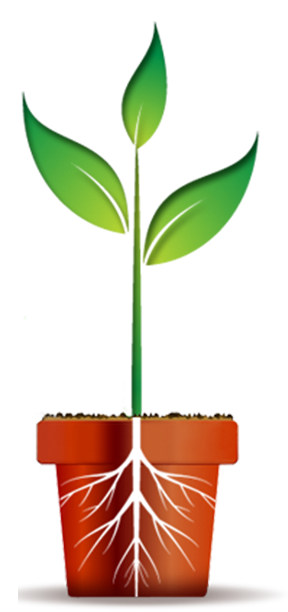 OWOM direct to consumer